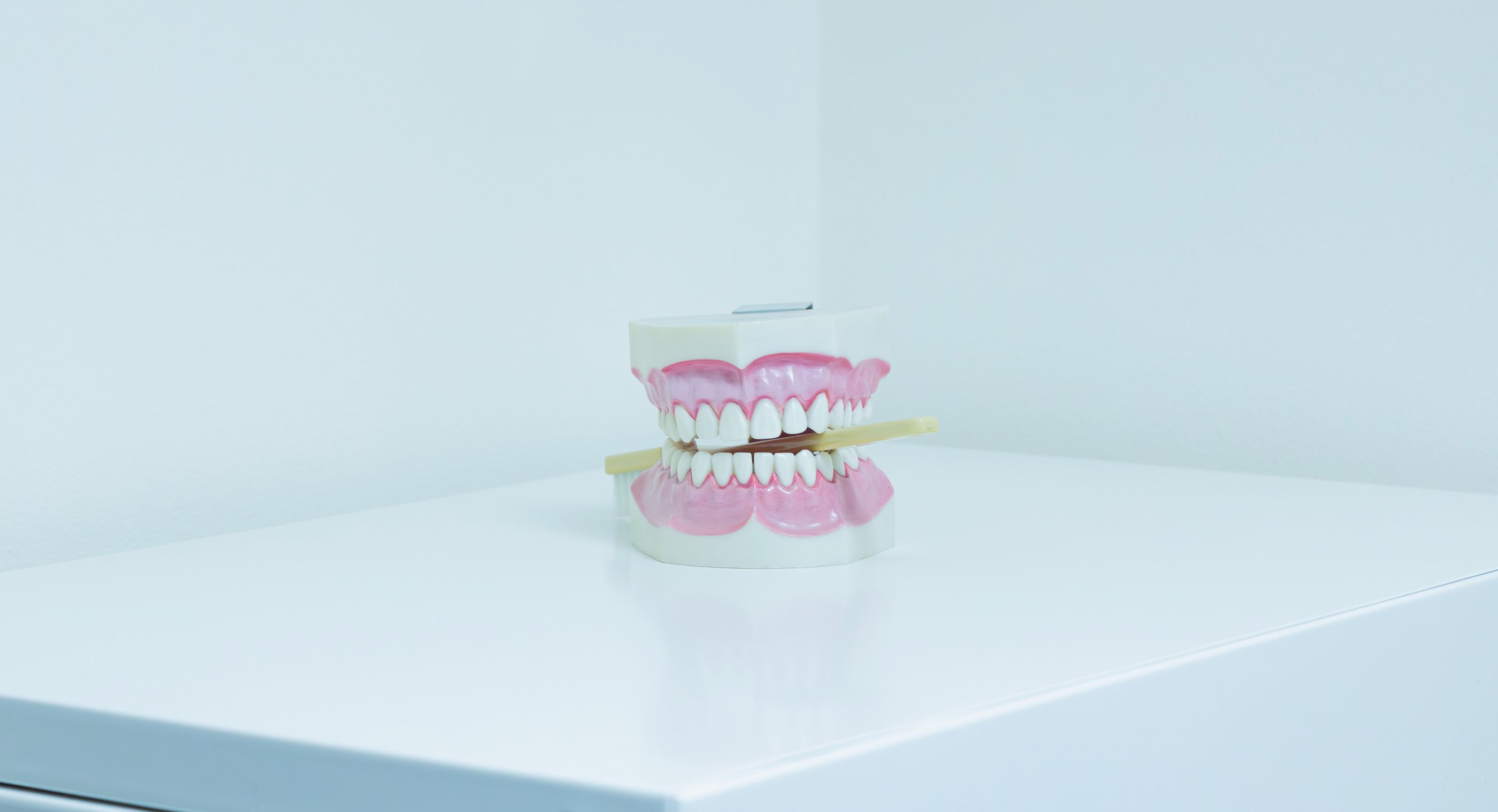 Studio — dettaglio